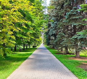 How Walkability Affects Home Value in the U.S. Housing Market